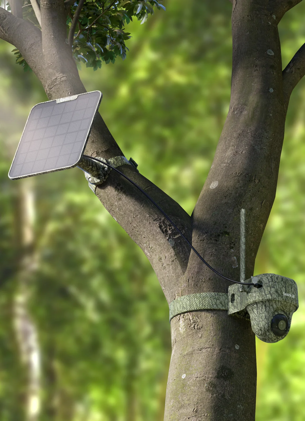 Reolink Go Ranger PT: cámara de vigilancia solar 4G LTE 4K con panorámica/inclinación - Imagen 4